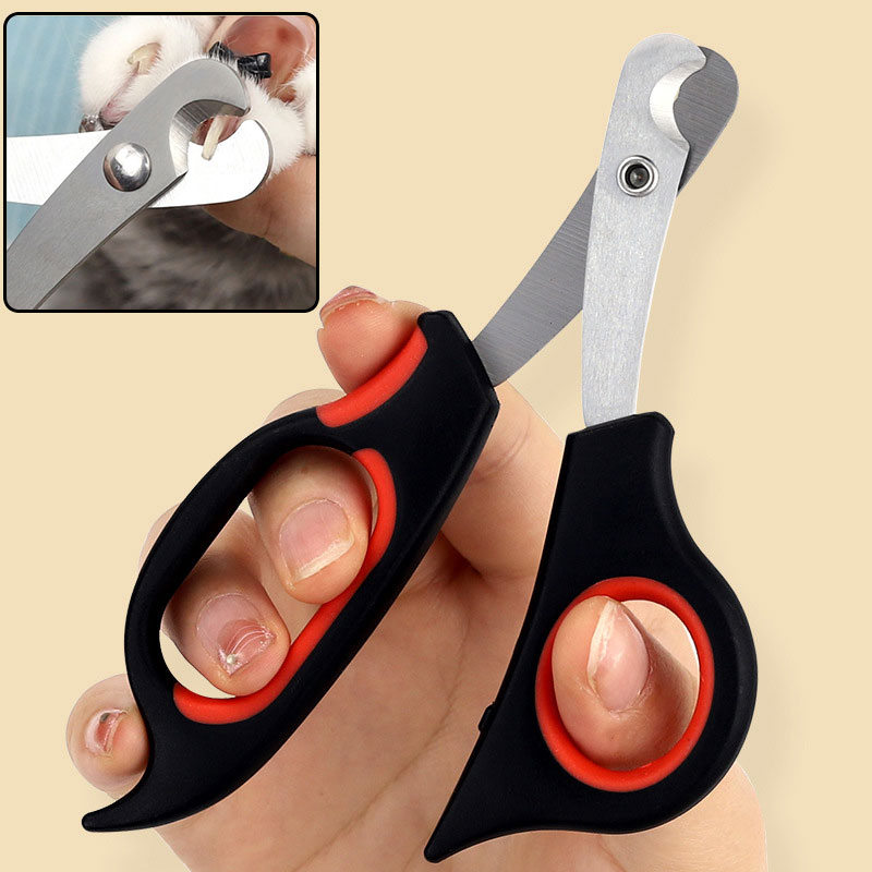 กรรไกรตัดเล็บสัตว์เลี้ยง กรรไก - Grooming Scissors บทวิจารณ์และราคา