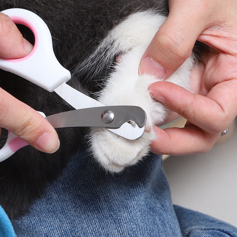 กรรไกรตัดเล็บสัตว์เลี้ยง กรรไก - Grooming Scissors บทวิจารณ์และราคา