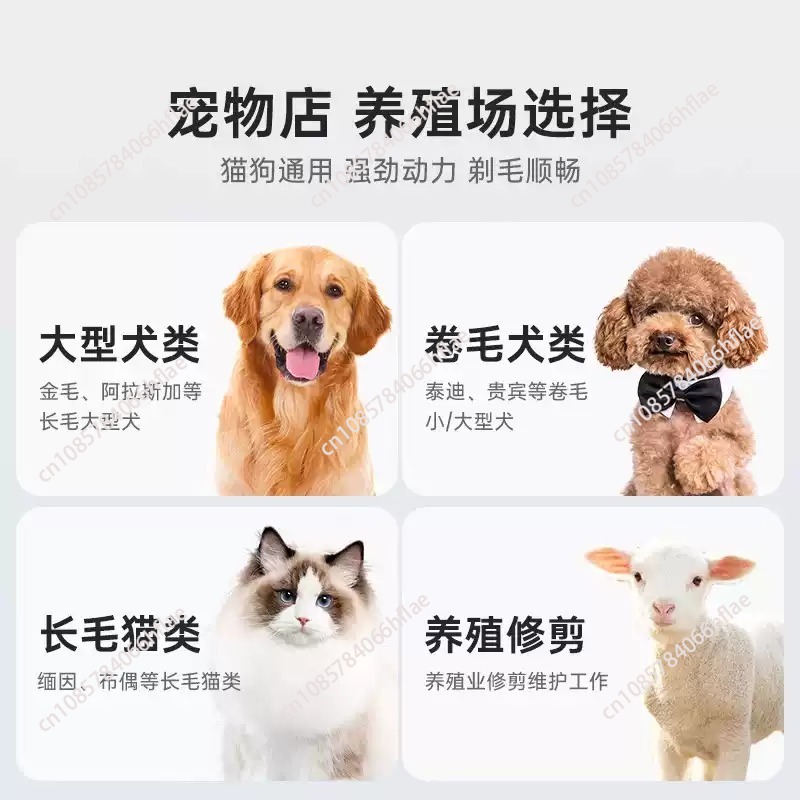 ชุดอุปกรณ์กรูมมิ่งสัตว์เลี้ยงไ - Grooming Kit บทวิจารณ์และราคา